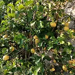 Βίλα Il Fontolo Ponzano Superiore