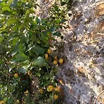 Il Fontolo Βίλα *