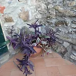 Il Fontolo Βίλα Ponzano Superiore