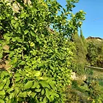 Il Fontolo Ponzano Superiore