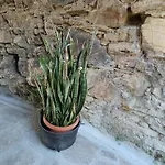 Il Fontolo *