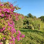 Βίλα Il Fontolo Ponzano Superiore