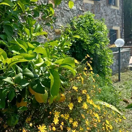 Il Fontolo Villa