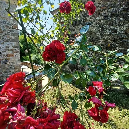 Villa Il Fontolo