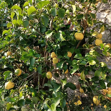 Villa Il Fontolo Ponzano Superiore