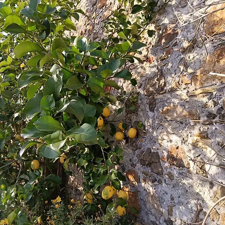 Il Fontolo Villa *