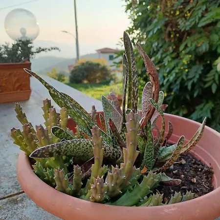 Il Fontolo *