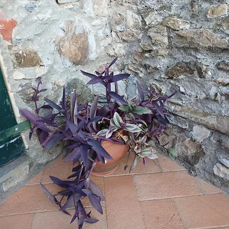 Il Fontolo Villa Ponzano Superiore