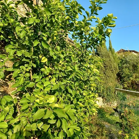 Il Fontolo Ponzano Superiore