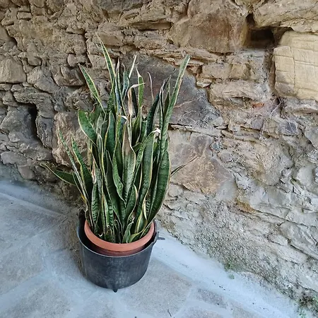 Il Fontolo *
