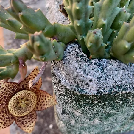 Il Fontolo Ponzano Superiore