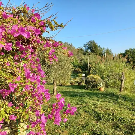 Villa Il Fontolo Ponzano Superiore