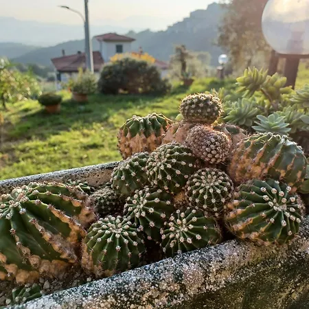 Il Fontolo Villa Ponzano Superiore