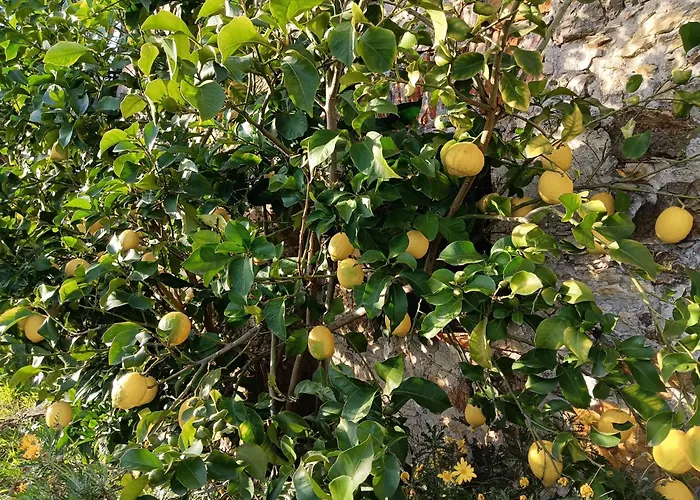 Villa Il Fontolo Ponzano Superiore