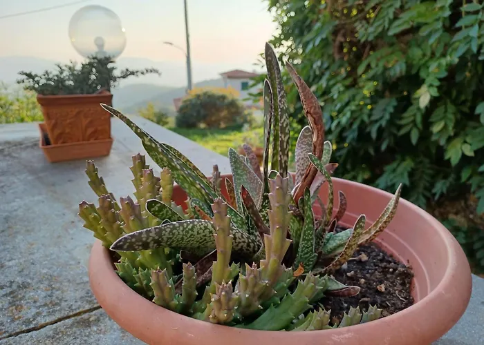 Il Fontolo *
