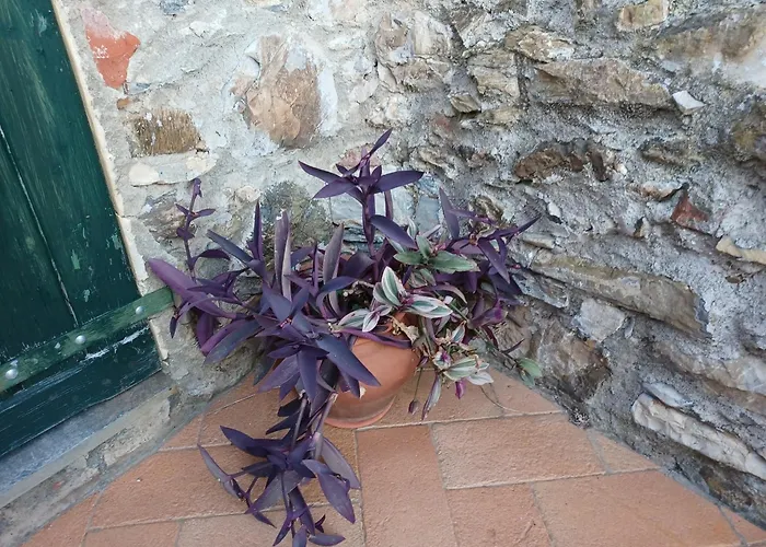 Il Fontolo Villa Ponzano Superiore