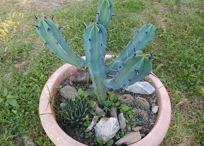 Il Fontolo Villa Ponzano Superiore