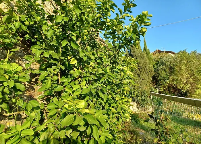 Il Fontolo Ponzano Superiore