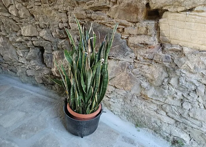 Il Fontolo *