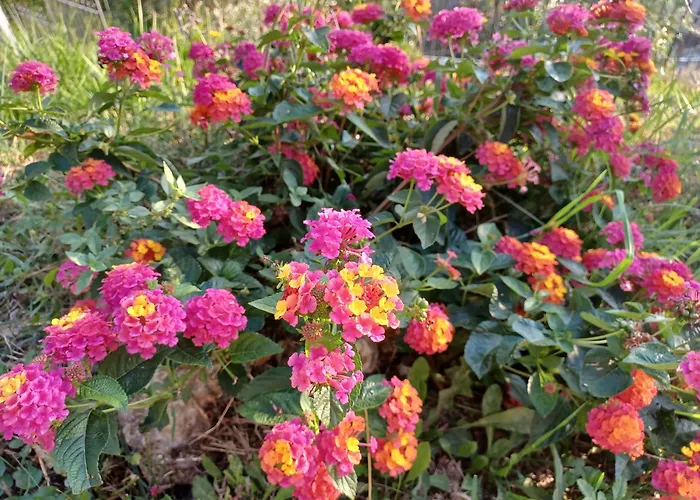 Villa Il Fontolo Ponzano Superiore