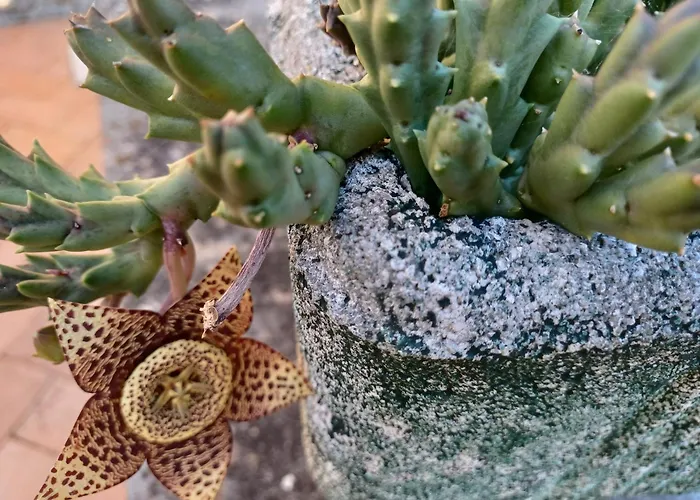 Il Fontolo Ponzano Superiore