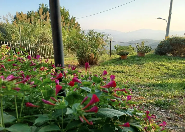 Villa Il Fontolo *